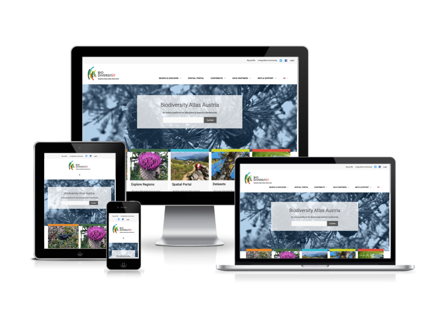 Webdesign und Webprogrammierung für den Biodiversity Atlas